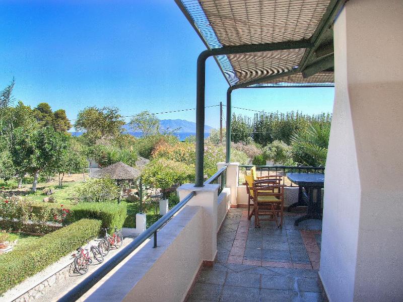 Sunny Garden image
