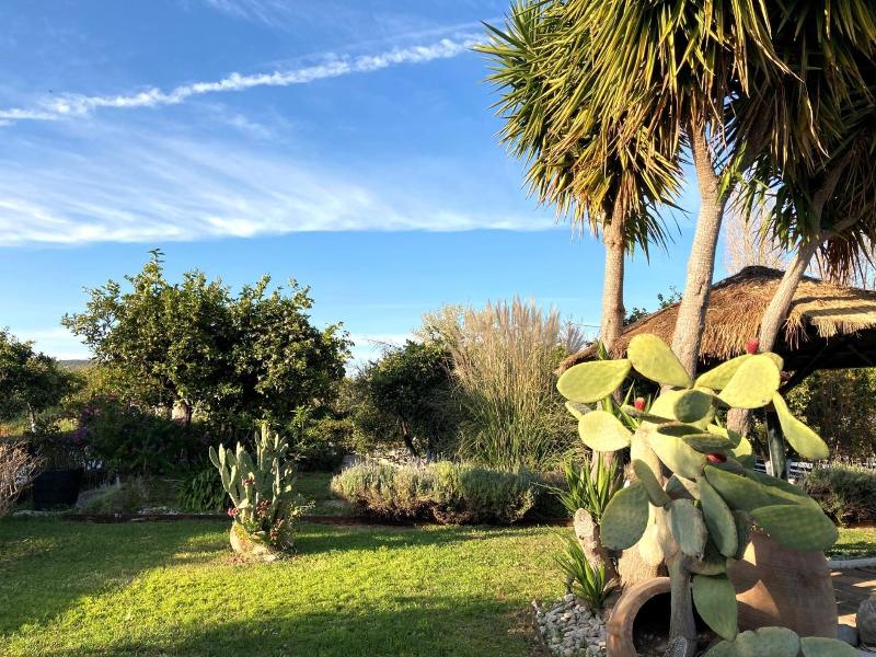 Sunny Garden image