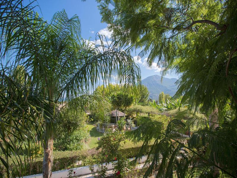Sunny Garden image