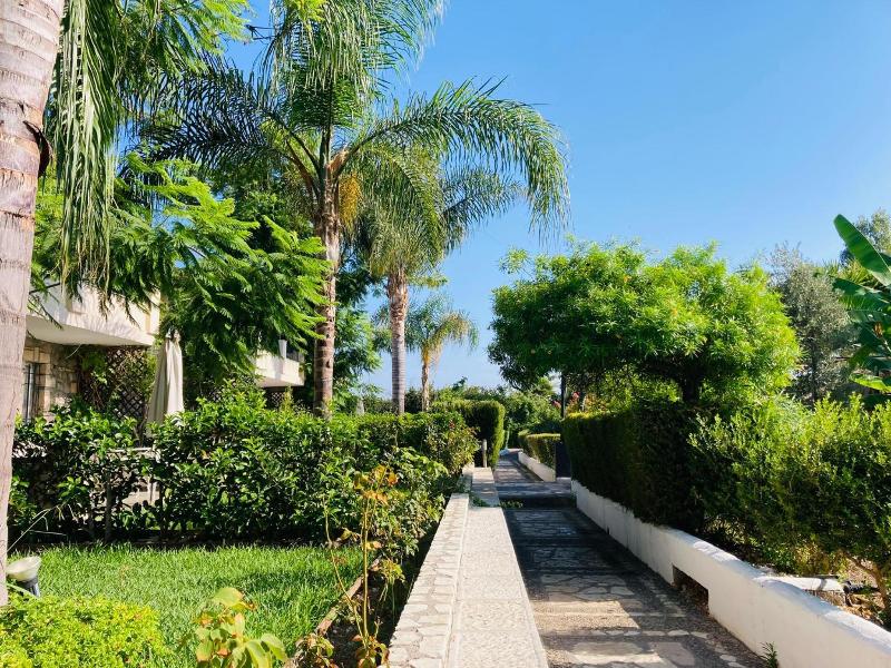 Sunny Garden image