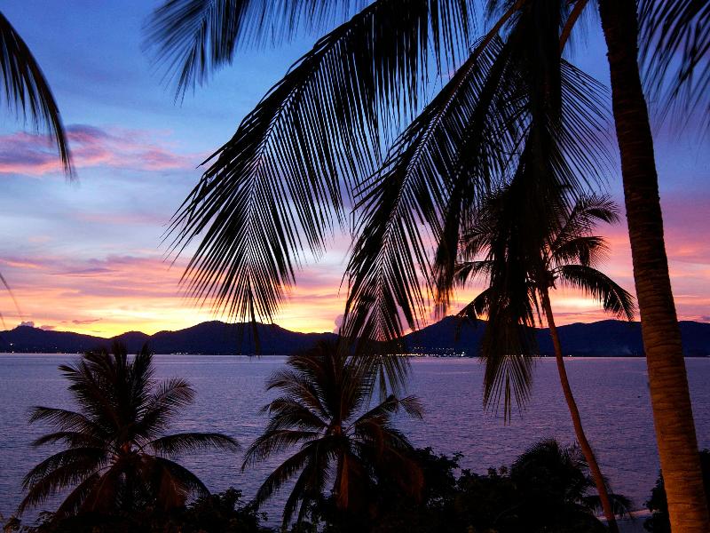 Novotel Phuket Kamala Beach image