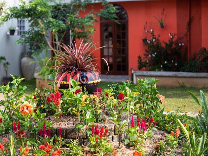 Breeze Of Paradise image