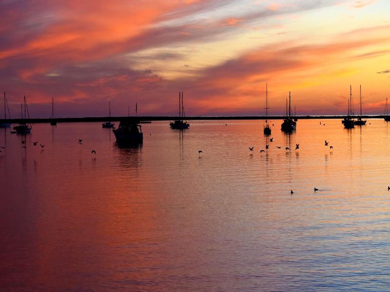 Harbor View Inn image