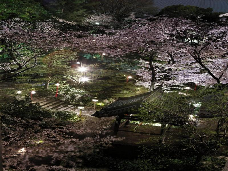 The Prince Sakura Tower Tokyo,Autograph Collection image
