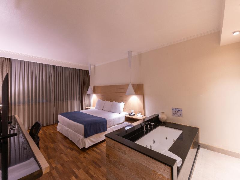Wyndham Concepcion Pettra image