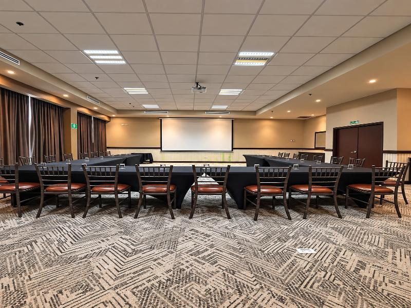 Best Western Premier Monterrey Aeropuerto image
