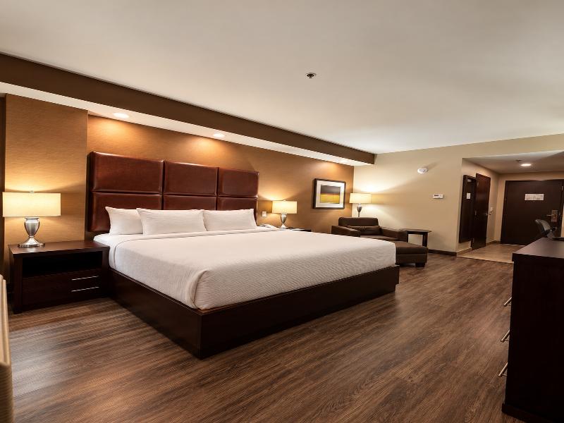 Best Western Premier Monterrey Aeropuerto image