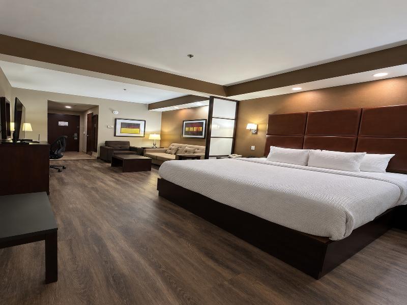Best Western Premier Monterrey Aeropuerto image