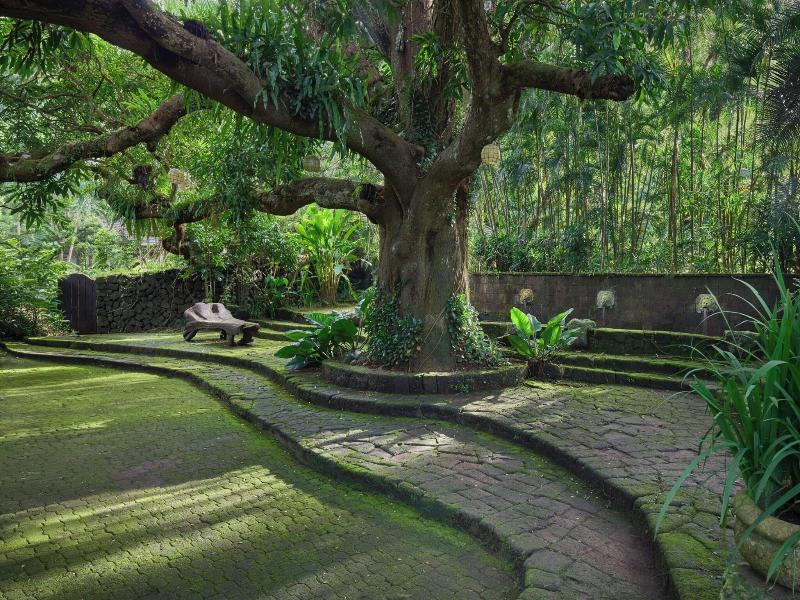 The Farm At San Benito image