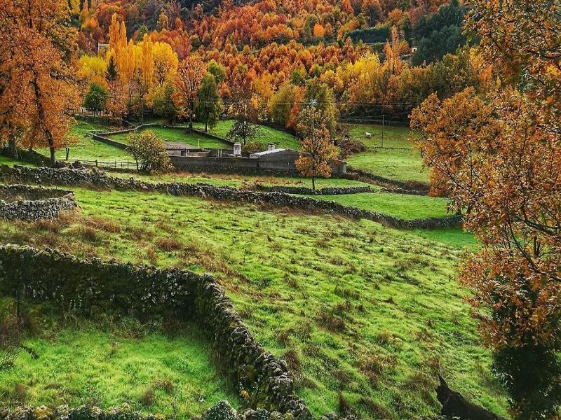 Casa Rural Acebuche image
