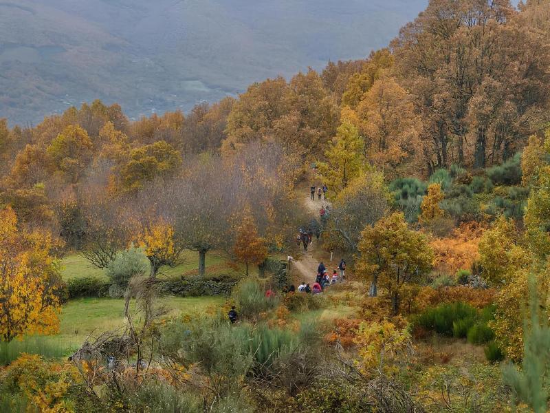 Casa Rural Acebuche image
