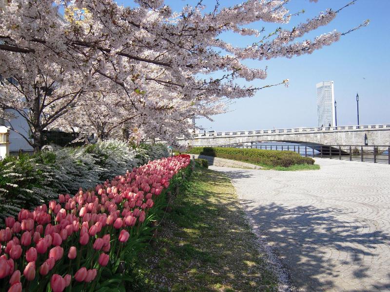 Hotel Okura Niigata image