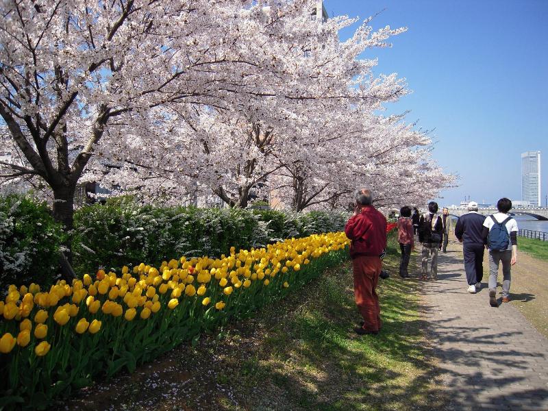 Hotel Okura Niigata image