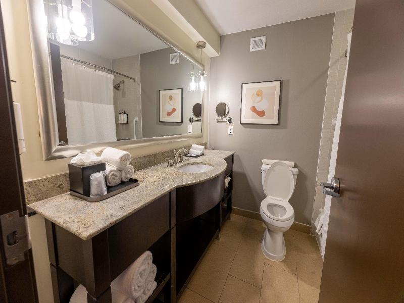 Crowne Plaza Houston Galleria Area image