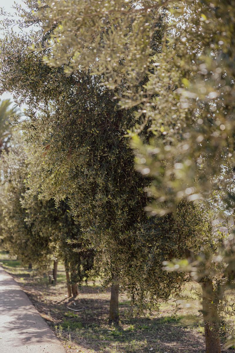 Ecoagroturismo Can Feliu image