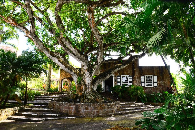 Montpelier Plantation & Beach St. Kitts & Nevis - vacaystore.com