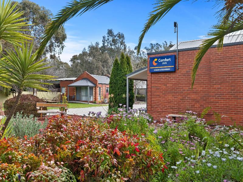 Comfort Inn Coach & Bushmans image