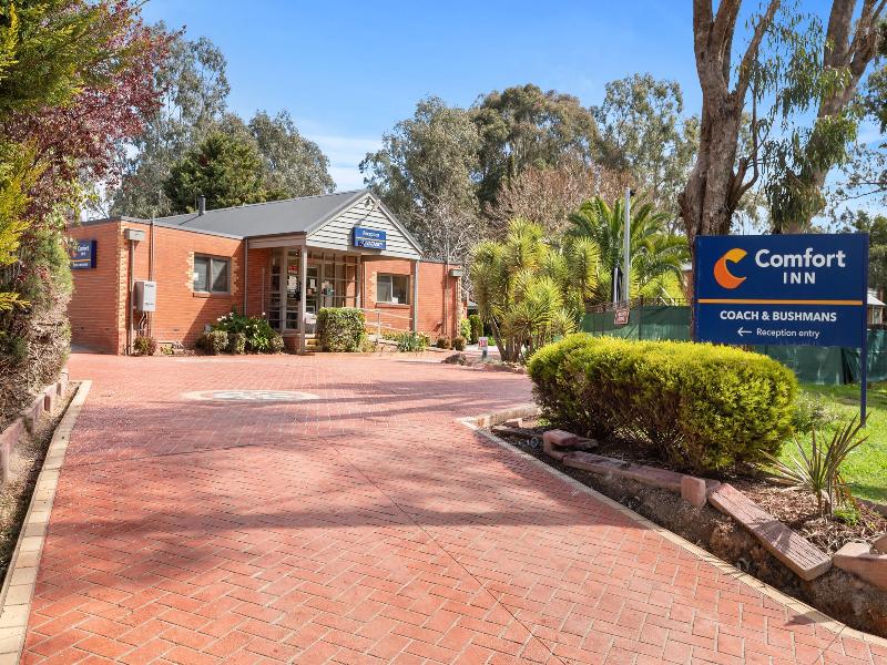 Comfort Inn Coach & Bushmans image