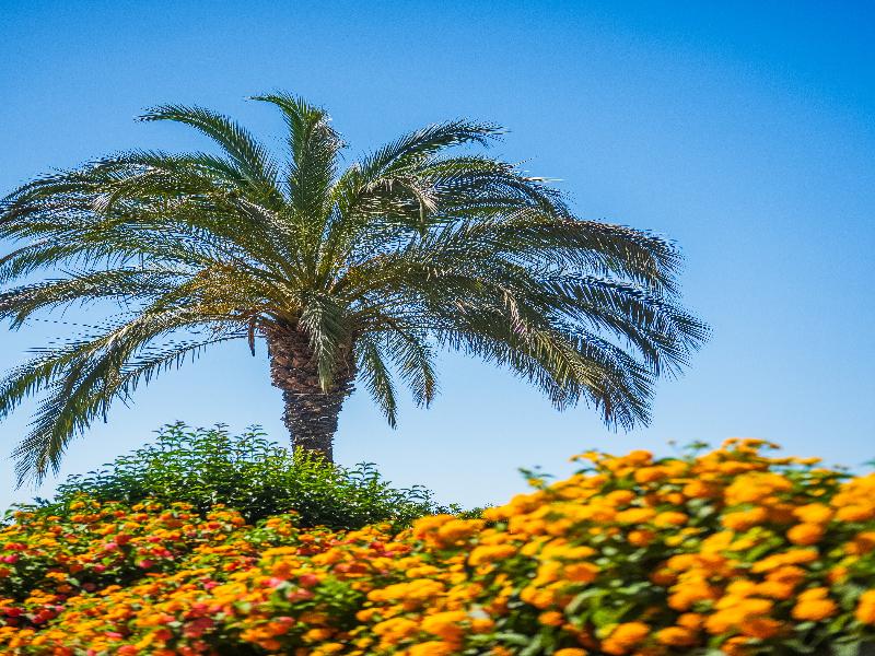 Altafiumara Resort & Spa image