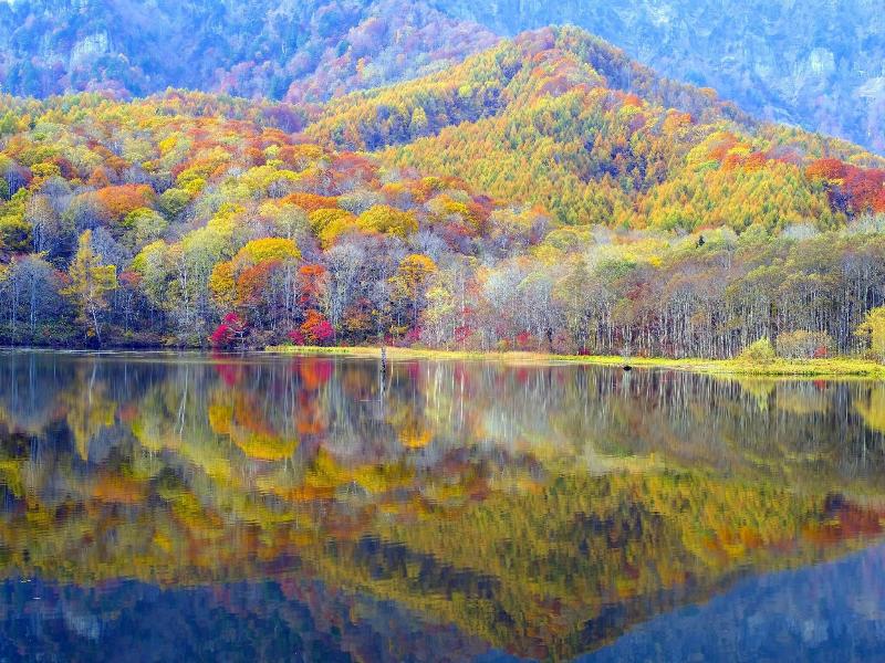 Sotetsu Fresa Inn Nagano-Zenkojiguchi image