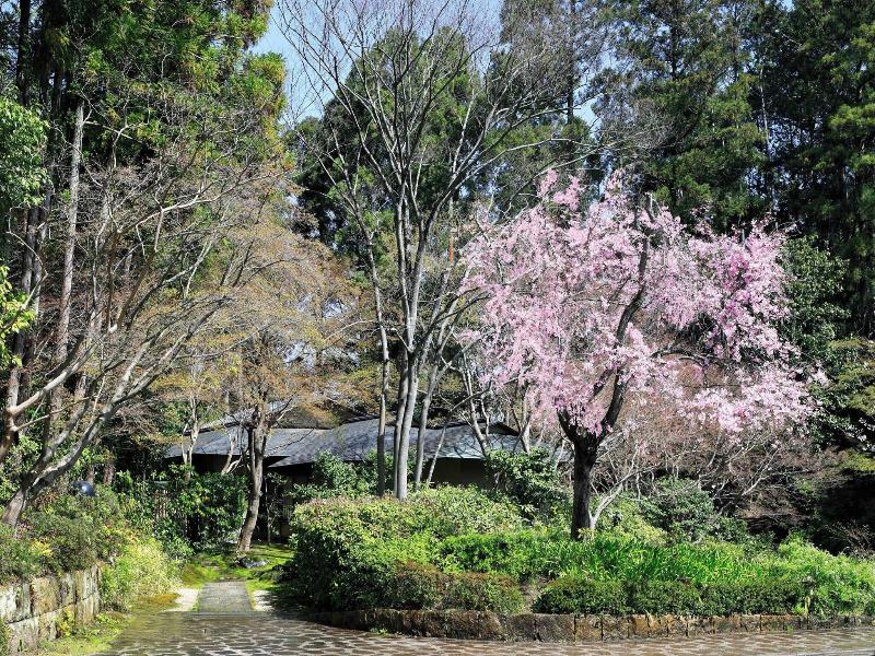 The Prince Kyoto Takaragaike, Autograph Collection image