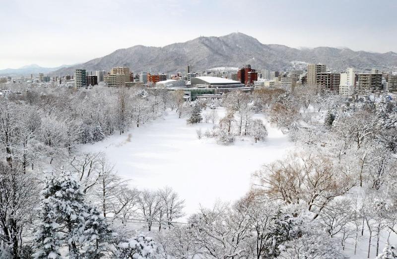 Sapporo Park Hotel image