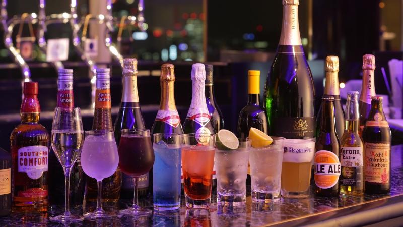 Hotel New Otani Osaka image