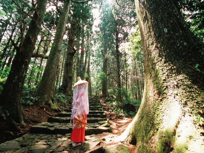 Kamenoi Hotel Nachi Katsuura image