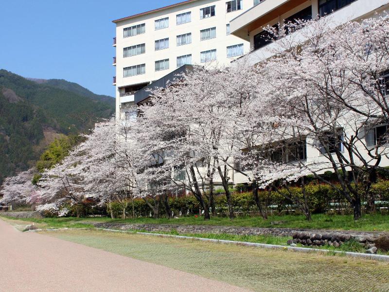 Gero Onsen Yamagataya image
