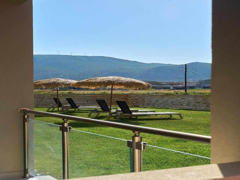Grape Vine image