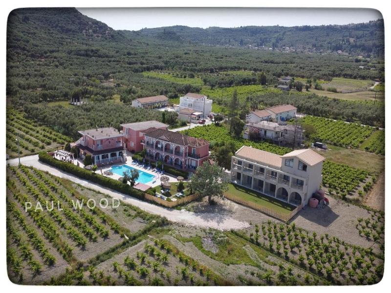 Grape Vine image