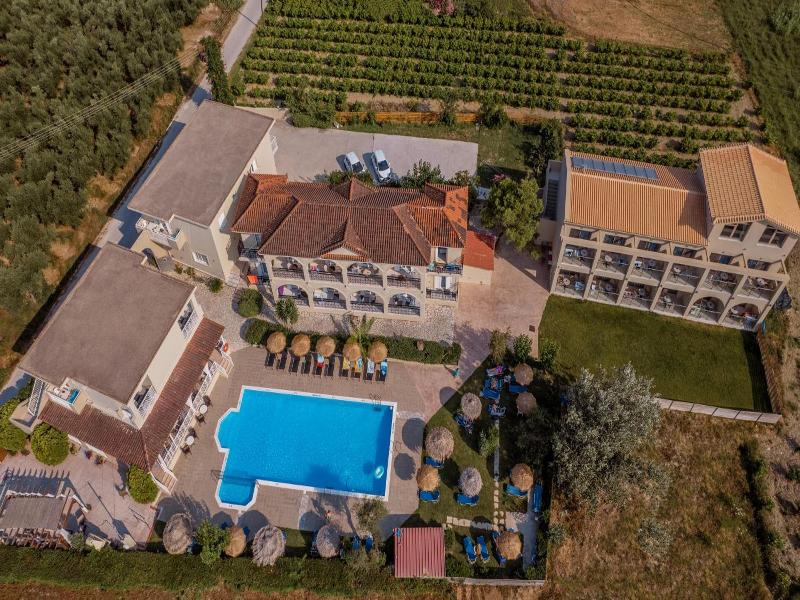 Grape Vine image
