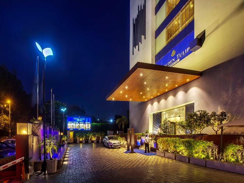 Golden Tulip Essential image