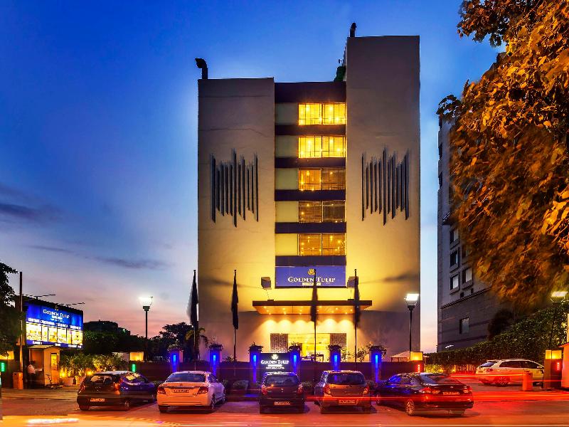 Golden Tulip Essential image