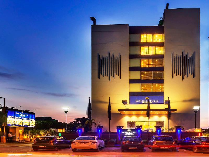 Golden Tulip Essential image