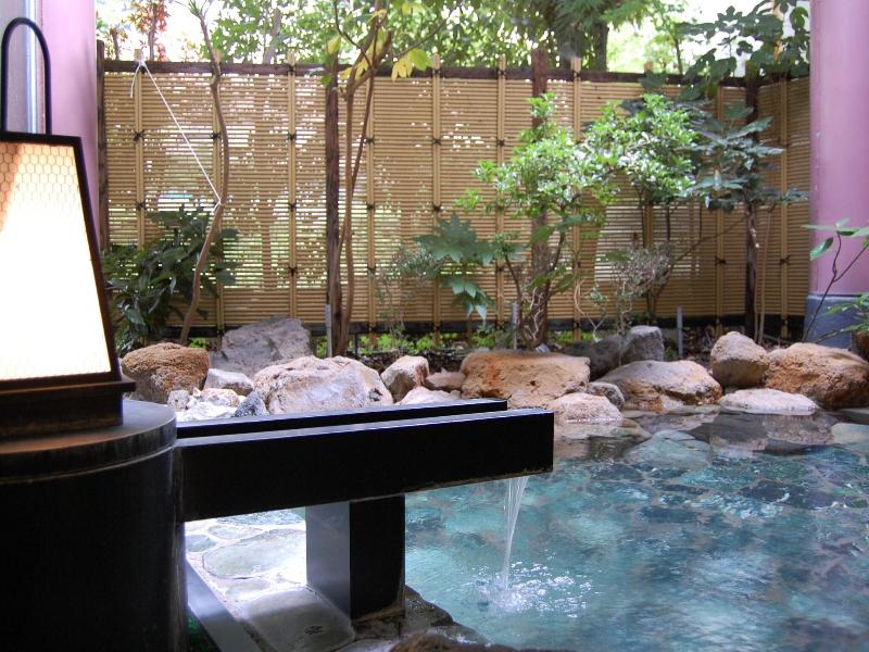 Kinugawa Onsen Hotel image