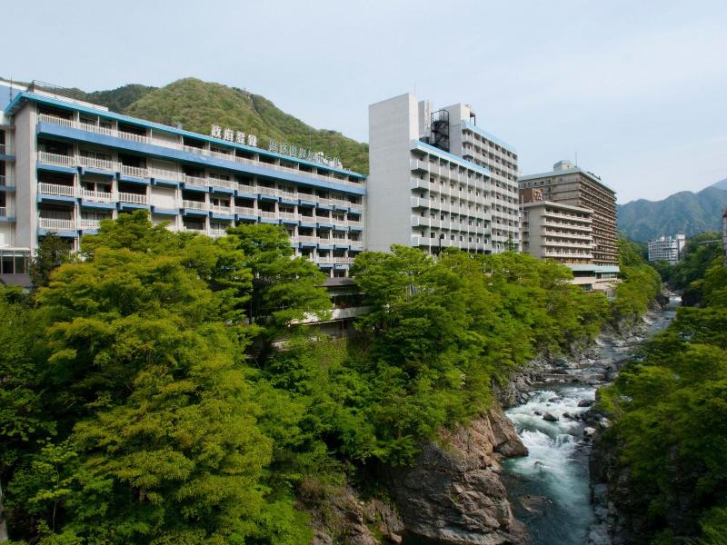 Kinugawa Onsen Hotel image