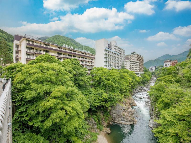Kinugawa Onsen Hotel image