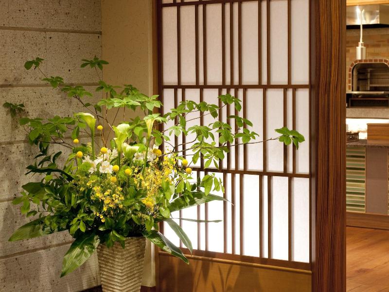 Kinugawa Onsen Hotel image