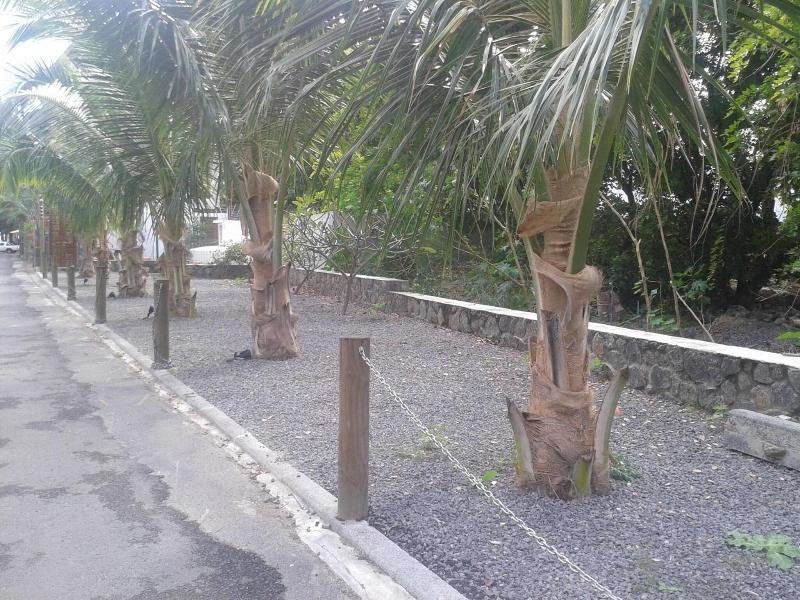 Dodolalodge image