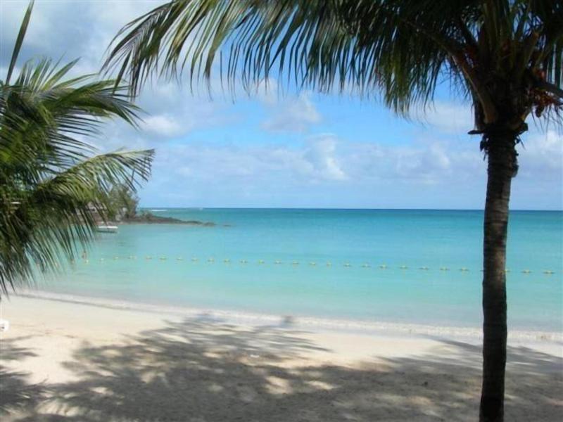 Dodolalodge image