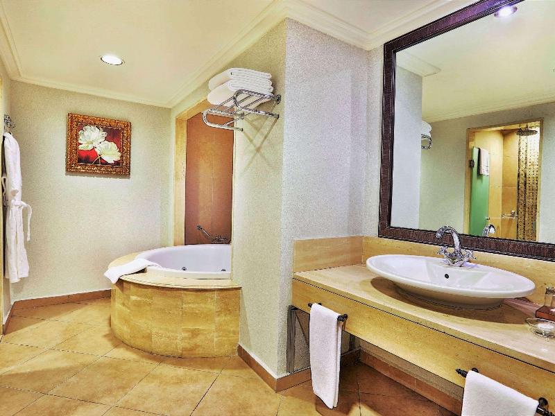 Rixos Almaty image