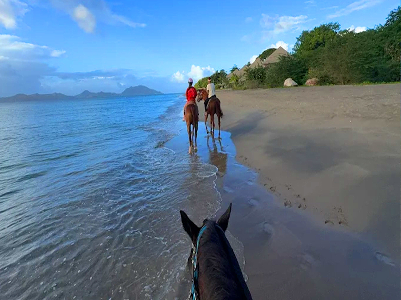 Oualie Beach Resort image