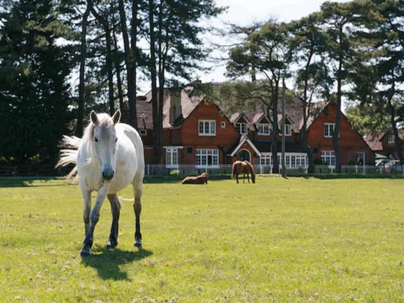 Beaulieu Hotel image