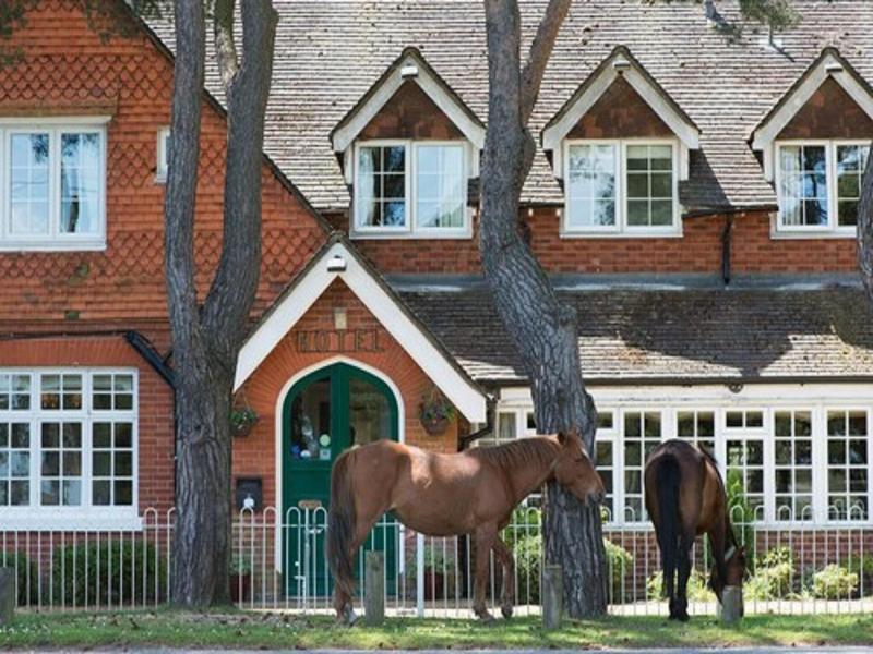 Beaulieu Hotel image