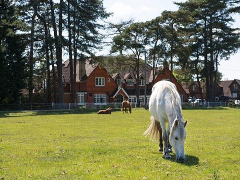 Beaulieu Hotel image