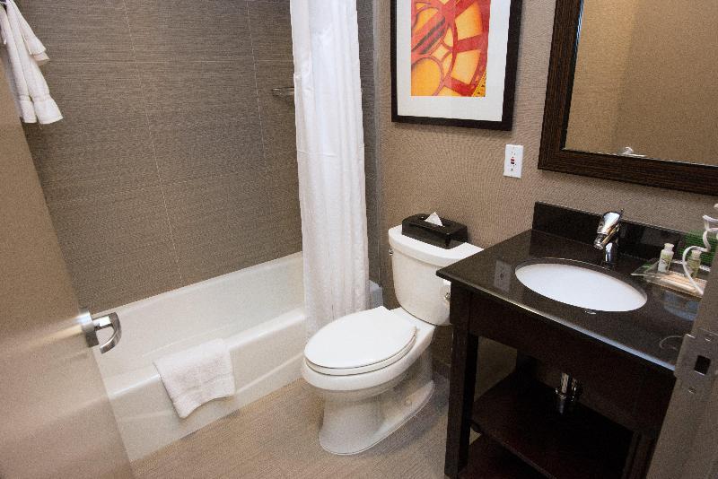 Holiday Inn Nyc - Lower East Side
