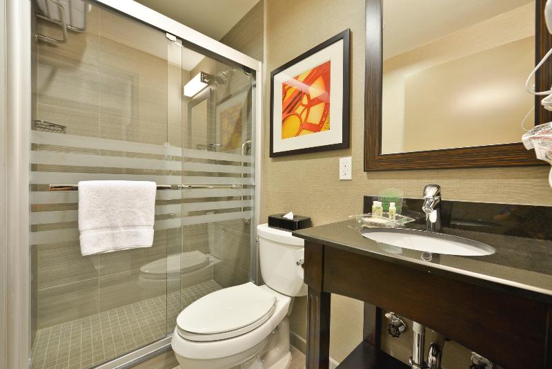 Holiday Inn Nyc - Lower East Side