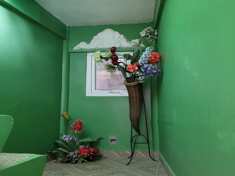 Green Monkey Resort image