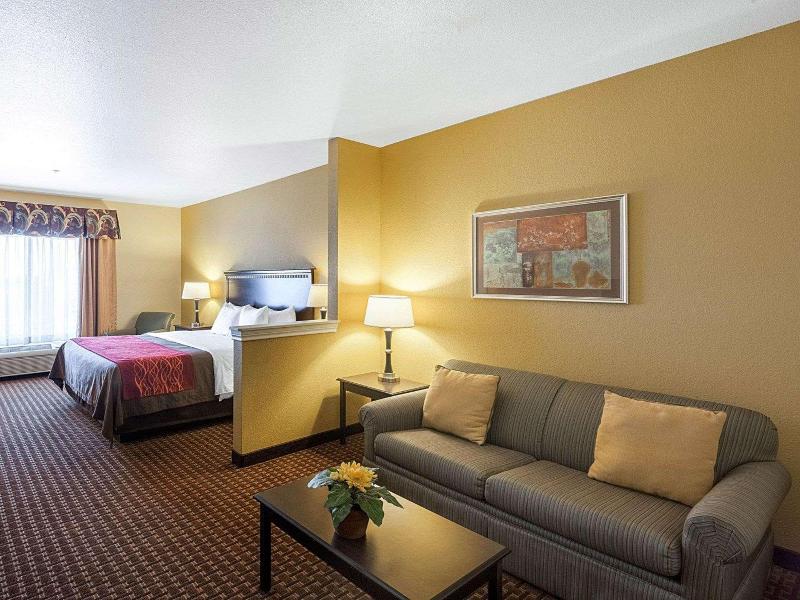 Comfort Inn & Suites Regional Medical Center image